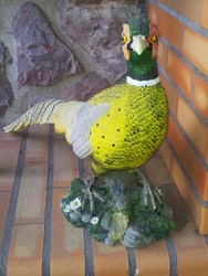 DECORACION JARDIN COMERCIALCOSTOYA